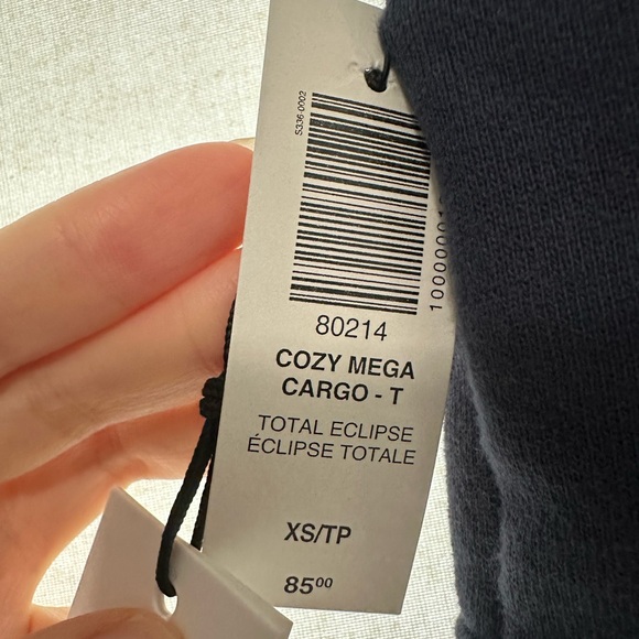 Aritzia Cozy Fleece Mega Cargo Sweatpant - Picture 5 of 5